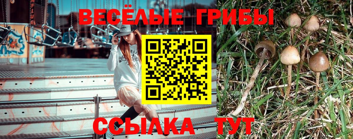 Псилоцибиновые грибы Psilocybe  Псилоцибиновые грибы MAGIC MUSHROOMS  Саянск  Вход с VPN 