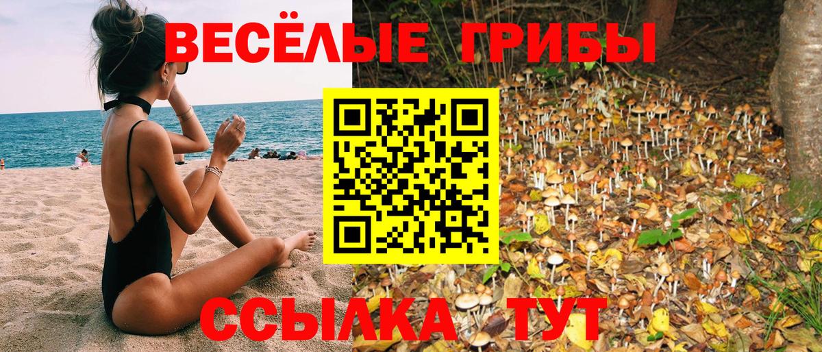 Галлюциногенные грибы MAGIC MUSHROOMS Саянск